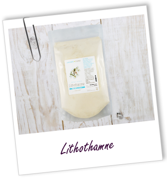 Actif marin Lithothamne Aroma-Zone