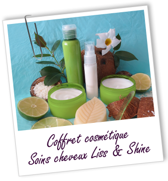 Coffret cosmétique maison Soins cheveux Liss & Shine 2014 Aroma-Zone