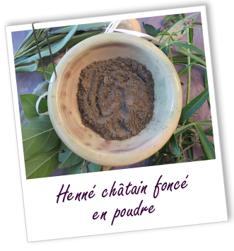 Coloration & Soin capillaire Henné châtain foncé Aroma-Zone
