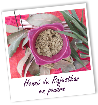 Coloration & Soin capillaire Henné du Rajasthan Aroma-Zone