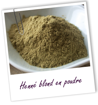 Coloration & Soin capillaire Henné blond Aroma-Zone