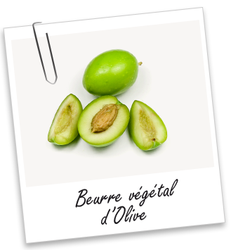 Beurre végétal Olive Aroma-Zone