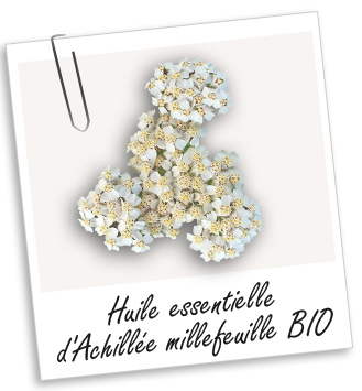 Huile essentielle Achillée millefeuille Aroma-Zone BIO