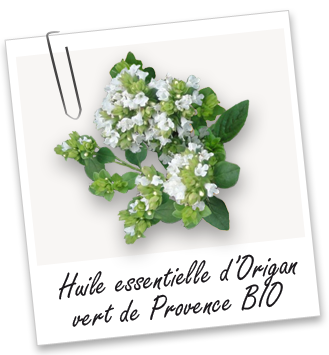 Huile essentielle Origan vert de Provence BIO Aroma-Zone
