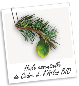 Huile essentielle Cèdre de l'Atlas BIO Aroma-Zone