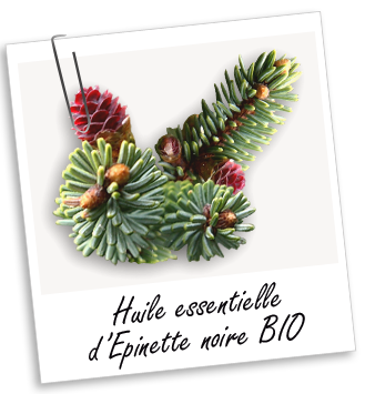 Huile essentielle Epinette noire BIO Aroma-Zone
