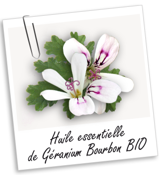Huile essentielle Géranium Bourbon BIO Aroma-Zone