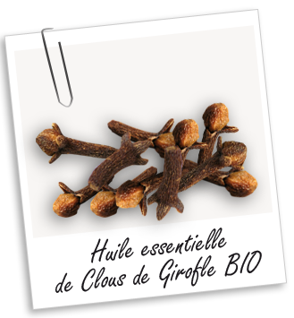 Huile essentielle Girofle Clous BIO Aroma-Zone