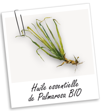 Huile essentielle Palmarosa BIO Aroma-Zone