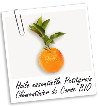 Huile essentielle Petitgrain Clémentinier de Corse BIO Aroma-Zone