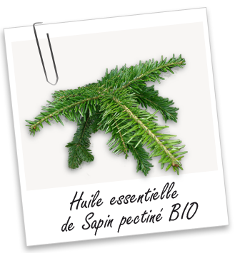 Huile essentielle Sapin pectiné BIO Aroma-Zone