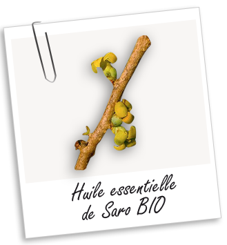 Huile essentielle Saro BIO Aroma-Zone