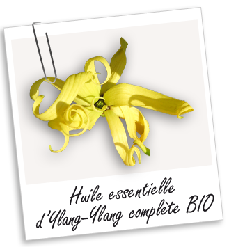 Huile essentielle Ylang Ylang complète BIO Aroma-Zone
