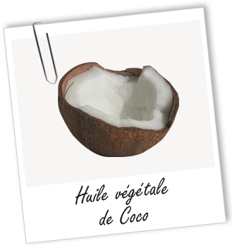 Huile végétale Coco BIO Aroma-Zone