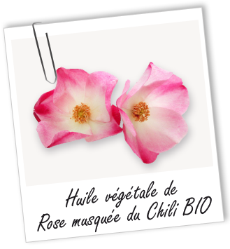 Huile végétale Rose Musquée du Chili BIO Aroma-Zone