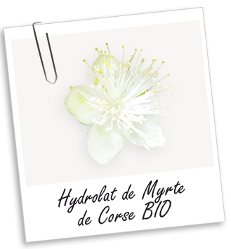 Hydrolat Myrte de Corse BIO Aroma-Zone