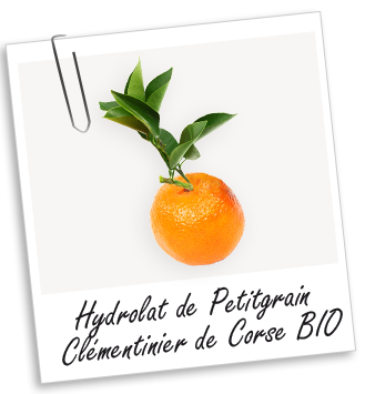 Hydrolat Petitgrain clémentinier de Corse BIO Aroma-Zone