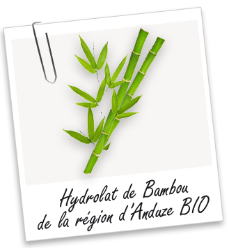 Hydrolat Bambou de la région d'Anduze BIO Aroma-Zone