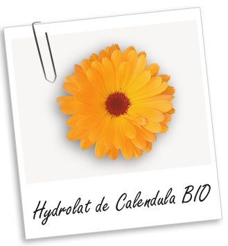 Hydrolat Calendula BIO Aroma-Zone