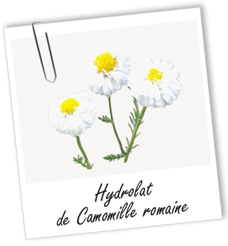 Hydrolat Camomille romaine BIO Aroma-Zone