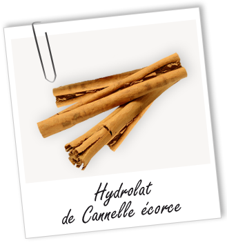 Hydrolat Cannelle écorce BIO Aroma-Zone