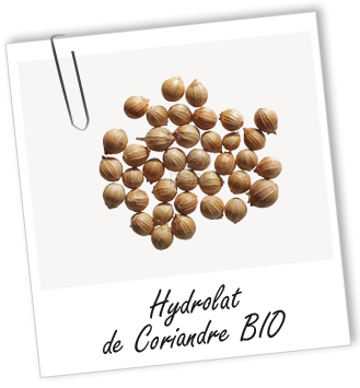 Hydrolat Coriandre BIO Aroma-Zone