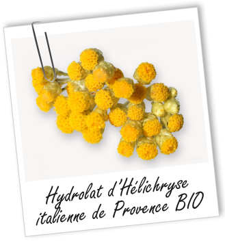 Hydrolat Hélichryse italienne de Provence BIO Aroma-Zone