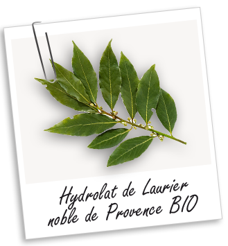 Hydrolat Laurier noble de Provence BIO Aroma-Zone