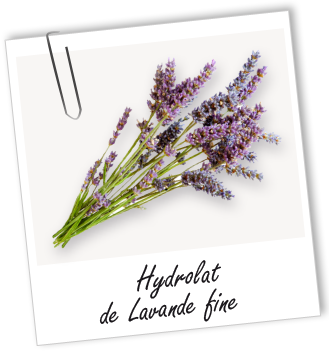 Hydrolat Lavande fine de Provence BIO Aroma-Zone