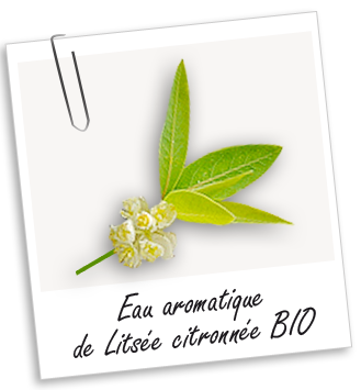 Eau aromatique Litsée citronnée BIO Aroma-Zone