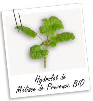 Hydrolat Mélisse de Provence BIO Aroma-Zone