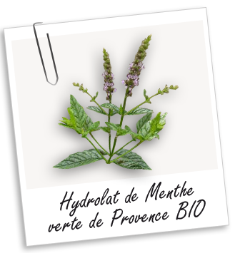 Hydrolat Menthe verte de Provence BIO Aroma-Zone