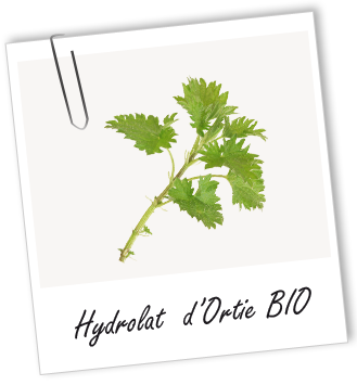 Hydrolat Ortie BIO Aroma-Zone