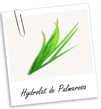 Hydrolat Palmarosa Aroma-Zone