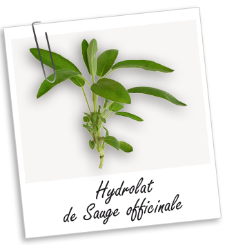Hydrolat Sauge officinale BIO Aroma-Zone