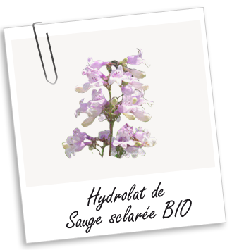 Hydrolat Sauge sclarée BIO Aroma-Zone