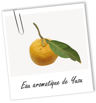 Eau aromatique de Yuzu Aroma-Zone