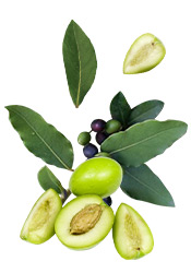 Savon d'Alep à l'huile d'olive et au laurier
