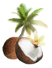 Fragancia cosmética natural Cocosun Aroma-Zone