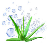 Base Melt & Pour blanche biologique à l'Aloe vera Aroma-Zone