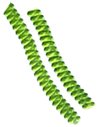 Spiruline BIO