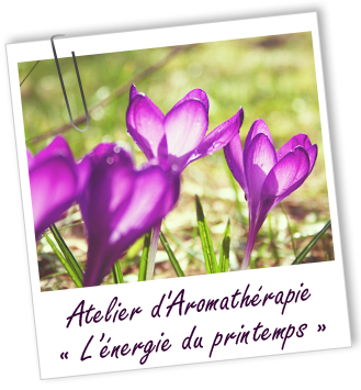 Atelier d'Aromathérapie familiale - L'ENERGIE DU PRINTEMPS - Aroma-Zone