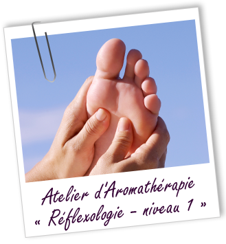 ATELIER RÉFLEXOLOGIE NIVEAU 1 - CIRCULATION & DIGESTION - Aroma-Zone