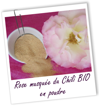Exfoliant Rose musquée du Chili BIO en poudre Aroma-Zone