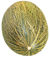 Aroma-Zone Melon Extracto Aromático