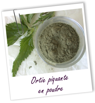 Poudre Ortie piquante Aroma-Zone