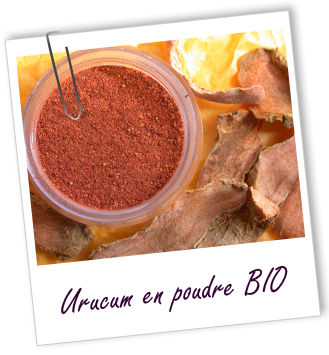 Poudre Urucum BIO Aroma-Zone