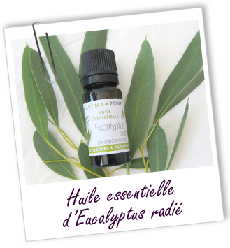 Huile essentielle Eucalyptus radié Aroma-Zone