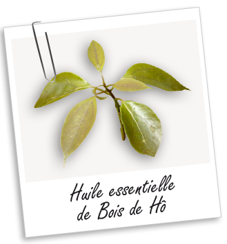 Huile essentielle Bois de Hô Aroma-Zone