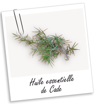 Huile essentielle Cade BIO Aroma-Zone